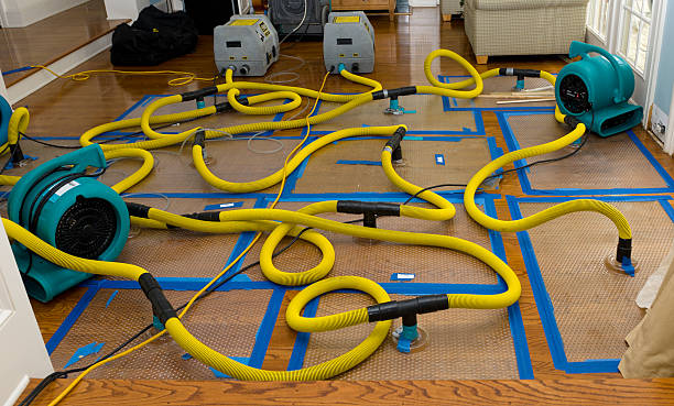 Professional Crawl Space Water Removal technician working in Port Republic, NJ